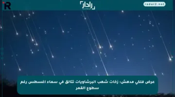 عرض فلكي مدهش: زخات شهب البرشاويات تتألق في سماء أغسطس رغم سطوع القمر